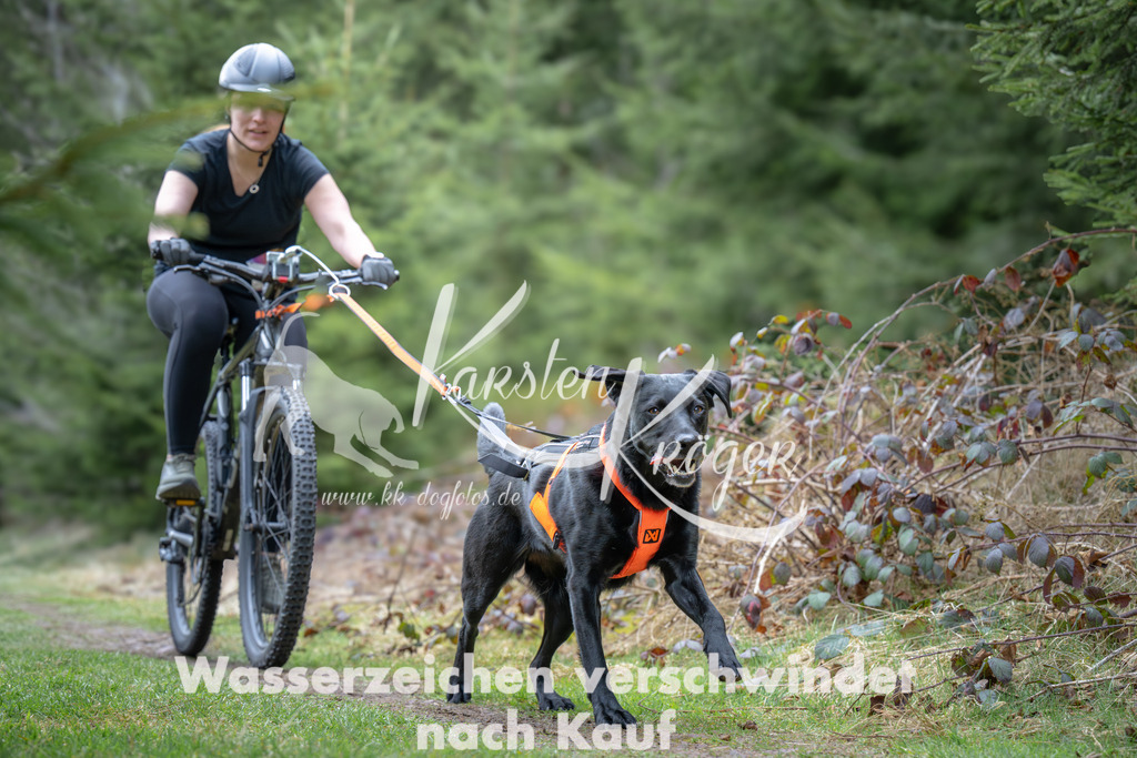 1309_ZZ93755 | kk-dogfotos