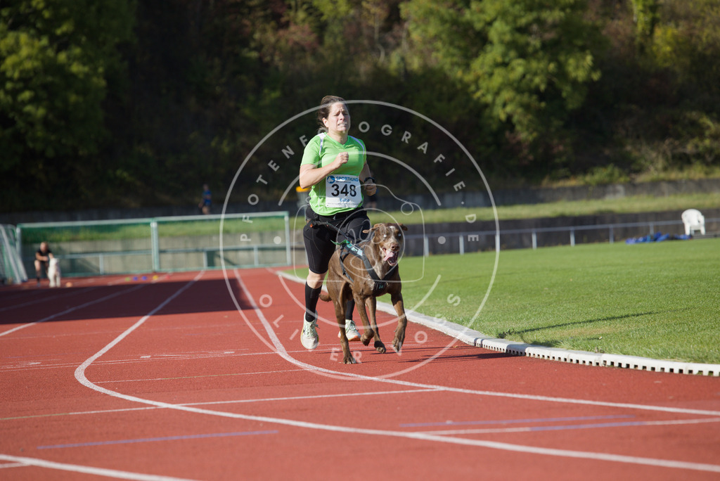 0L8A9325 | Hundefotografie, Tierfotograf, Pfotenfotografie, Fotoshooting Hund, Hunde Portrait, Hundesport, Hundeportraits, Heideshooting, Hunde, Sportfotograf, Hundefotograf, Turnierhundsport, THS,  - Realisiert mit Pictrs.com