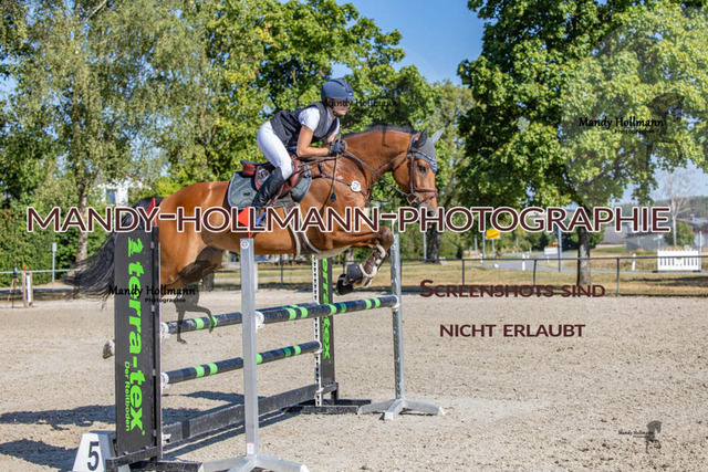 26-7-24 Amateur L-355 | mandyhollmannphotographie