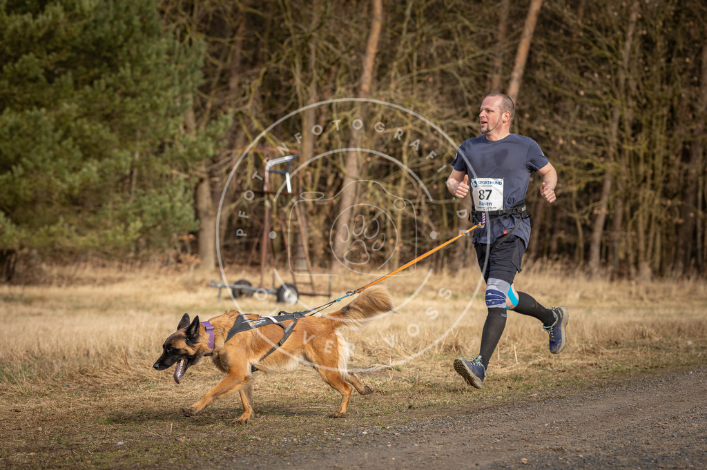 DV3A3969 | Hundefotografie, Tierfotograf, Pfotenfotografie, Fotoshooting Hund, Hunde Portrait, Hundesport, Hundeportraits, Heideshooting, Hunde, Sportfotograf, Hundefotograf, Turnierhundsport, THS,  - Realisiert mit Pictrs.com