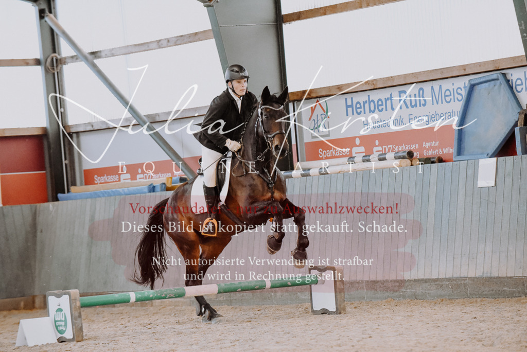 DSC_7438 | Pferde- und Turnierfotografie in Westsachsen. Pferdeportraits, Auftragszeichnungen und intuitive Kunst.