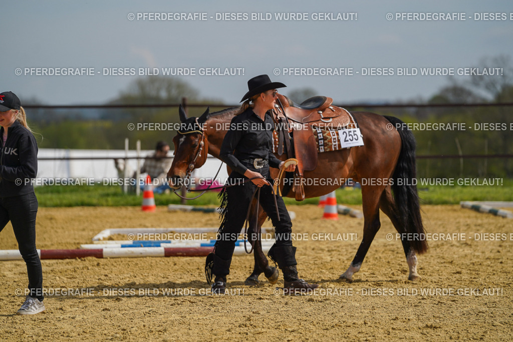 DSC04219 | Pferdegrafie