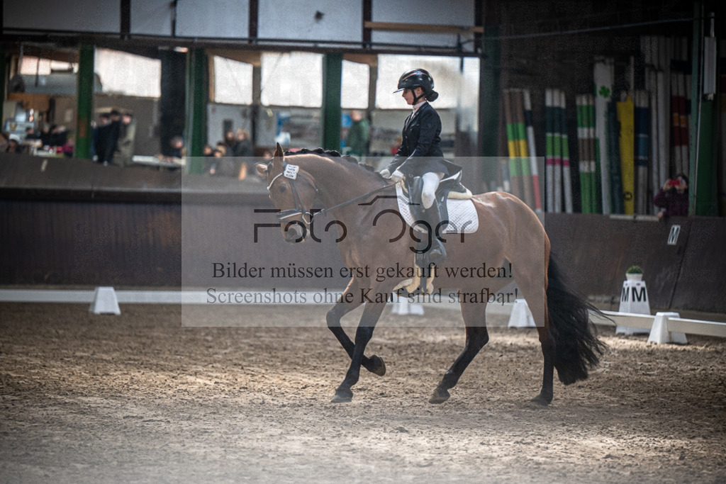DOS_0356 | Entdecke hochwertige Reitturnierfotos von Foto Oger. Professionell, emotional und authentisch – jetzt Lieblingsmomente im Shop bestellen.Deutschlandweite Turnierfotografie. - Realisiert mit Pictrs.com