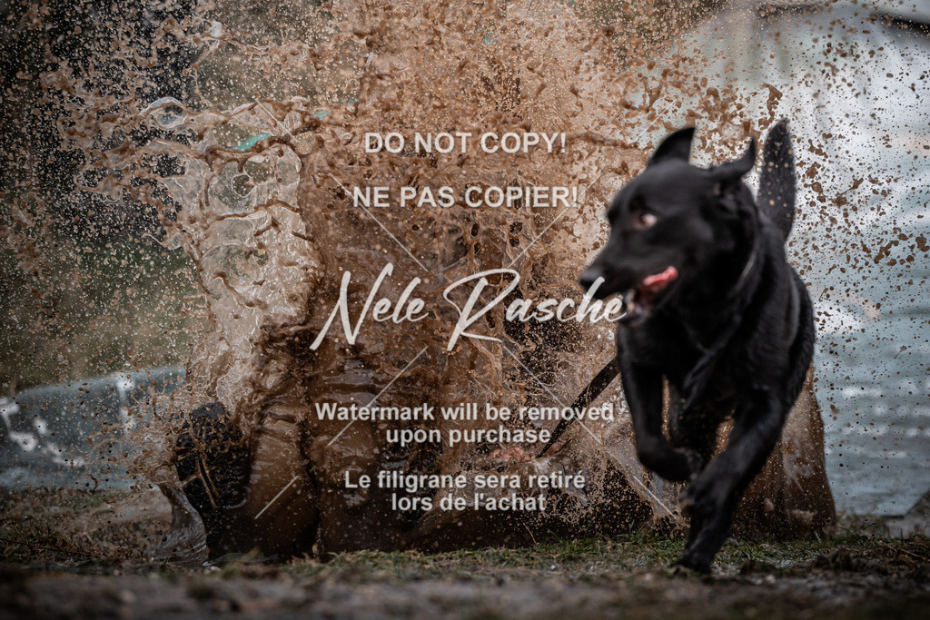 nelerasche_1300-1330_286 | nelerasche