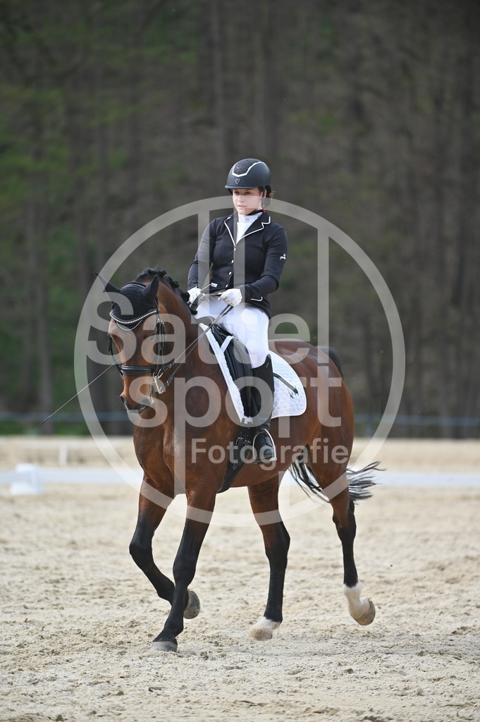 DSC_4971 | sattelsport - Realisiert mit Pictrs.com