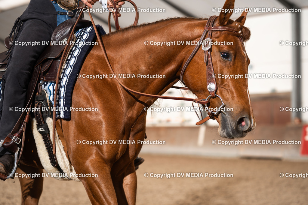 Heiligenwald Tag 1-2822 | dv-media-shop - Realisiert mit Pictrs.com