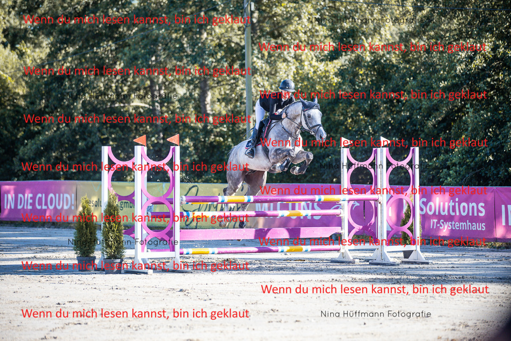 BK1A6003 | Turnierbilder Turnierfotos Nina Hüffmann Turnierfotografie Pferdefotografie Tierzeichnung Haustierzeichnung Pferdezeichnung Hundezeichnung Videograf  - Realisiert mit Pictrs.com