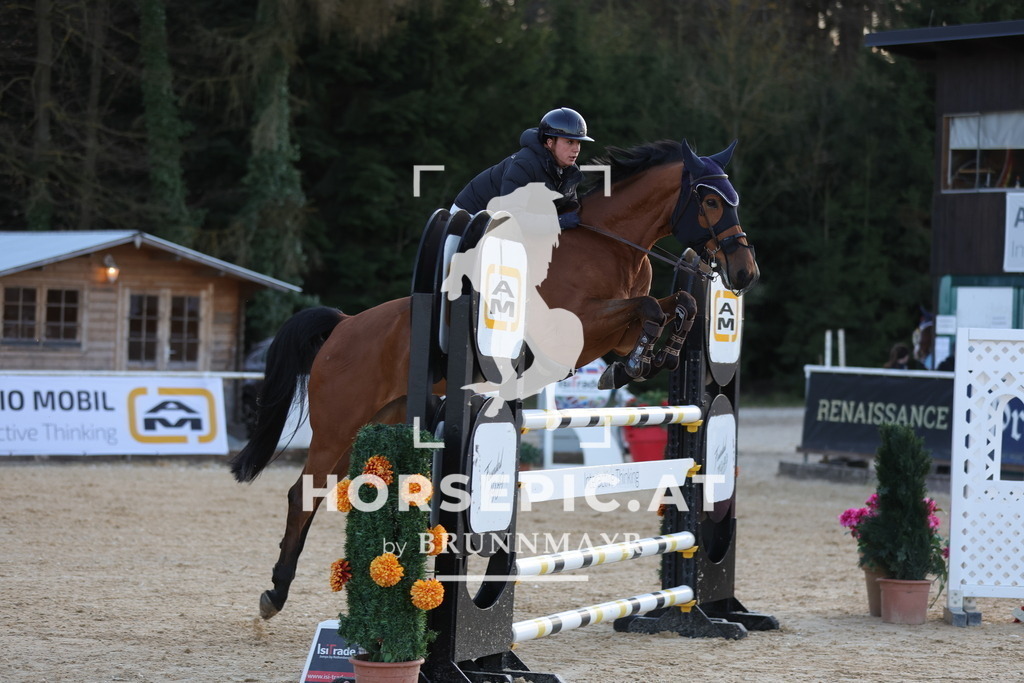 0P6A8455 | Willkommen bei Brunnmayr - Design & Fotografie – Ihrem Spezialisten für Reitturniere und Pferdeveranstaltungen in Oberösterreich, Salzburg und Bayern! Seit über 17 Jahren sind wir leidenschaftlich dabei.