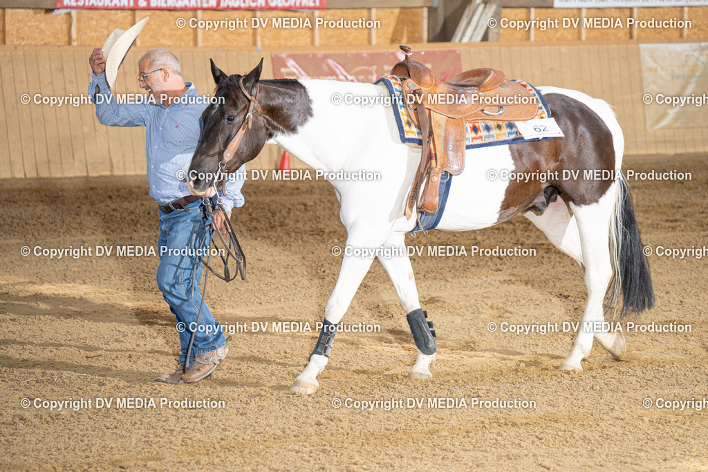 DSC00050-2 | dv-media-shop - Realisiert mit Pictrs.com