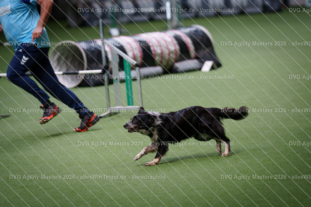 allesWIRTHgut_Tierfotografie-DVG_Agility_Masters_2026-10_24-7R500412 | Professionelle Tierfotografie in Mönchengladbach von Daniel Wirth (allesWIRTHgut). Liebevolle & natürliche Bilder von Hunden & Katzen für unvergessliche Erinnerungen.