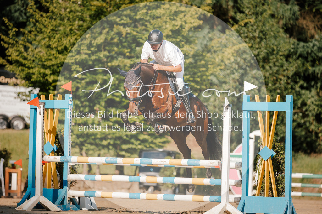 3I6A6335 | Stimmungsvolle Portraits und Reitsportfotografie im Ruhrgebiet und im Münsterland.

Pferdefotografie, Hundefotografie, Tierfotografie, Reportagen, Portraits von Tier und Mensch, Turnierfotografie in Bochum, Recklinghausen, Marl, Haltern am See, Dülmen.. - Realisiert mit Pictrs.com