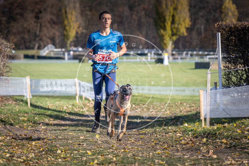CaniXpix_DV3A8861 | Hundefotografie, Tierfotograf, Pfotenfotografie, Fotoshooting Hund, Hunde Portrait, Hundesport, Hundeportraits, Heideshooting, Hunde, Sportfotograf, Hundefotograf, Turnierhundsport, THS,  - Realisiert mit Pictrs.com