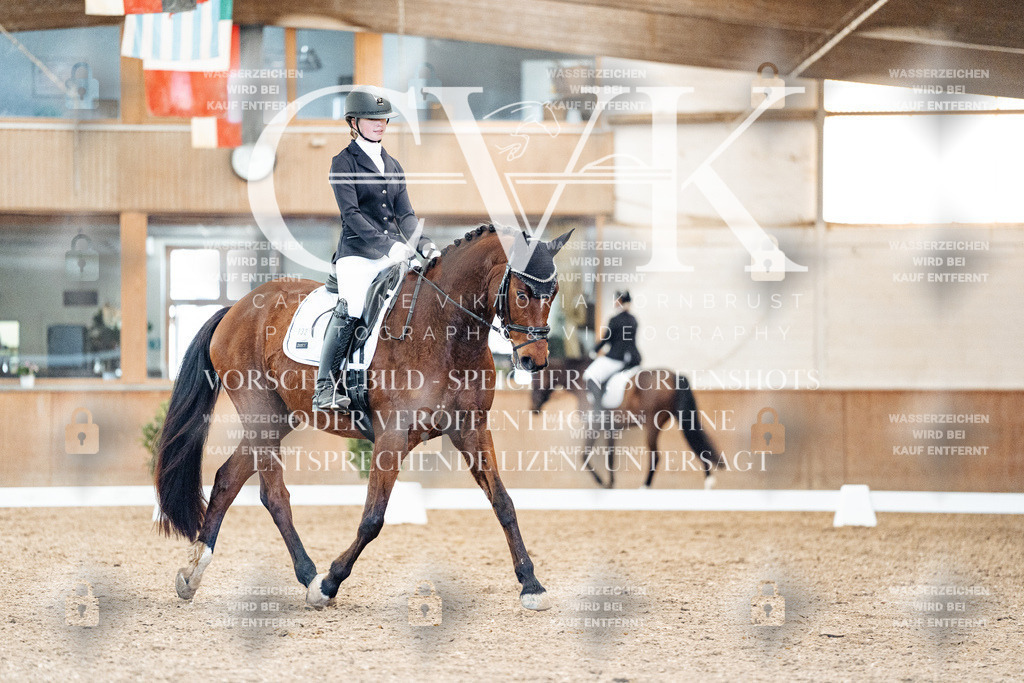 CK909240 | Turnierfotografie Pferdefotografie Trier Rheinland-Pfalz Pferdesport Reitsport Tierfotografie Sportfotografie Pferdevideo Pferdevideografie Equestrianvideography equestrianphotography  - Realized with Pictrs.com