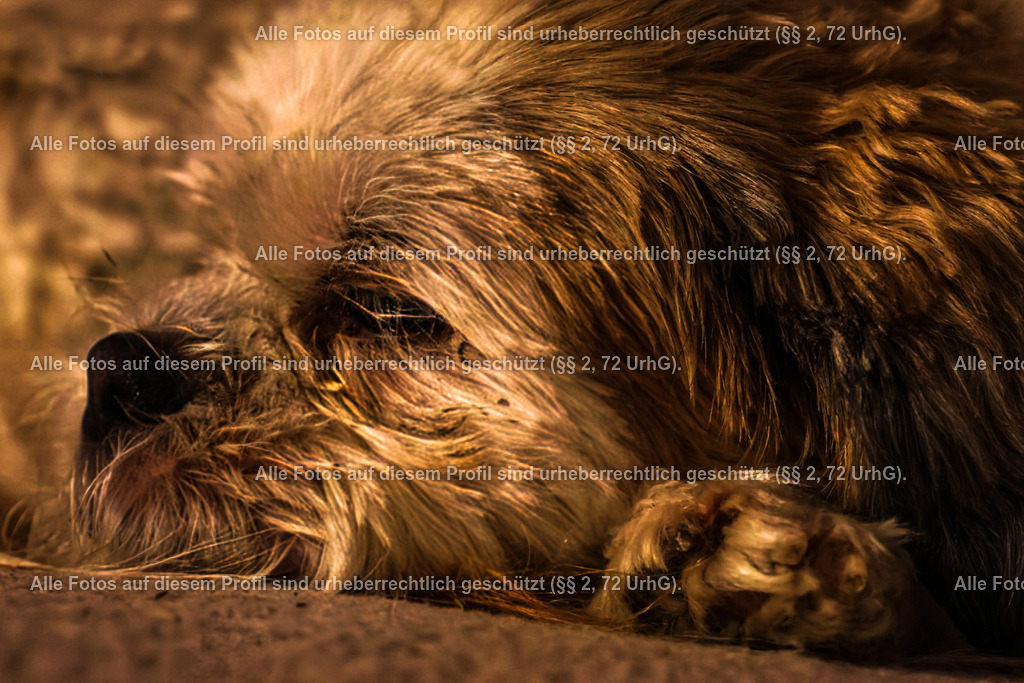 20240220210949_0C4A1728_2-01 | krollfotografie - Realisiert mit Pictrs.com