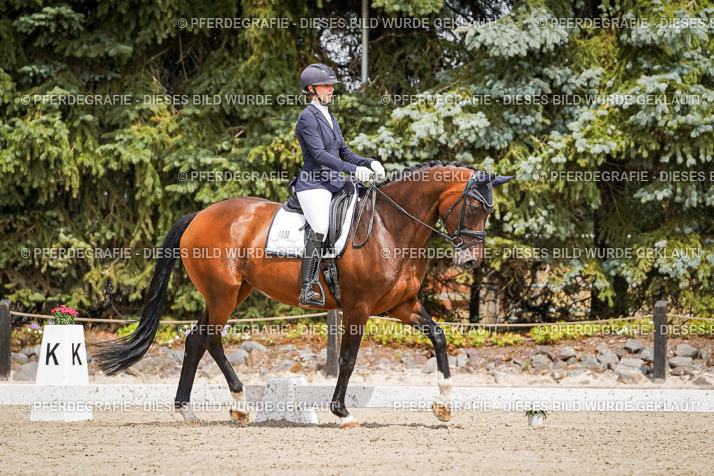 DSC02158 | Pferdegrafie