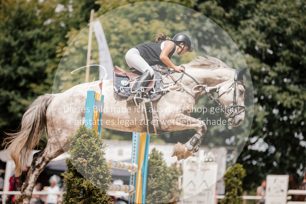 3I6A7849 | Stimmungsvolle Portraits und Reitsportfotografie im Ruhrgebiet und im Münsterland.

Pferdefotografie, Hundefotografie, Tierfotografie, Reportagen, Portraits von Tier und Mensch, Turnierfotografie in Bochum, Recklinghausen, Marl, Haltern am See, Dülmen.. - Realisiert mit Pictrs.com