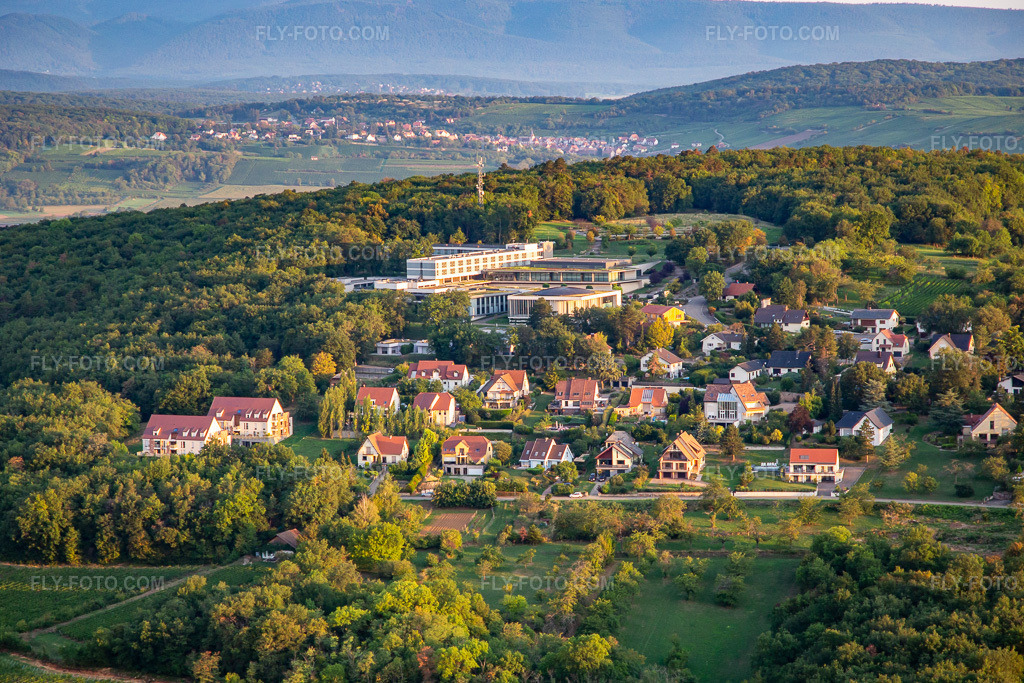 Aerial view: Le Bischenberg in Bischoffsheim in the state Bas-Rhin, France.Photo: IMG_137974.jpg taken on 08/19/2023 by Werner Riehm/FLY-FOTO.comResolution of the original: 5174 x 3449 pxWWW.LEBISCHENBERG.COM