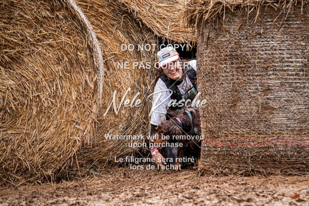nelerasche_Hunsrück_So09-11_52 | nelerasche