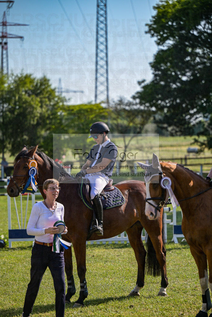 Reitturnier Voxtrup | Entdecke hochwertige Reitturnierfotos von Foto Oger. Professionell, emotional und authentisch – jetzt Lieblingsmomente im Shop bestellen.Deutschlandweite Turnierfotografie. - Realisiert mit Pictrs.com