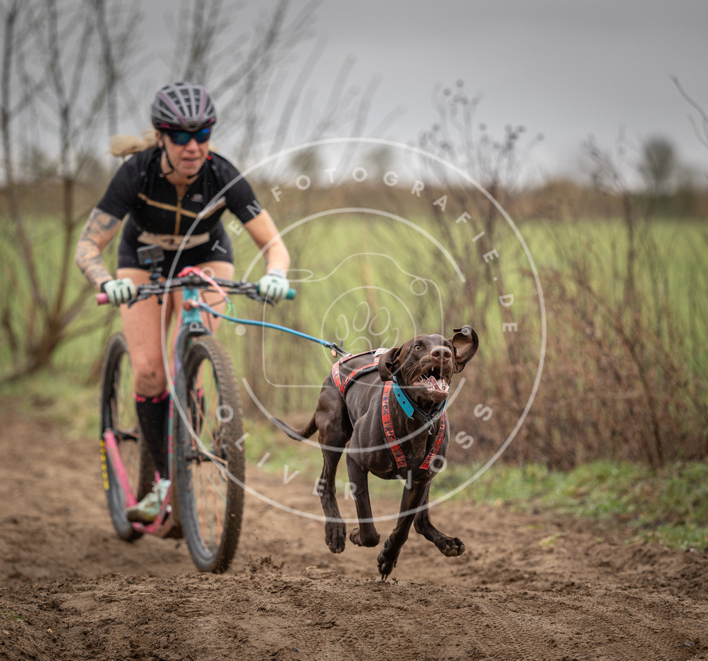 DV3A9170 | Hundefotografie, Tierfotograf, Pfotenfotografie, Fotoshooting Hund, Hunde Portrait, Hundesport, Hundeportraits, Heideshooting, Hunde, Sportfotograf, Hundefotograf, Turnierhundsport, THS,  - Realisiert mit Pictrs.com