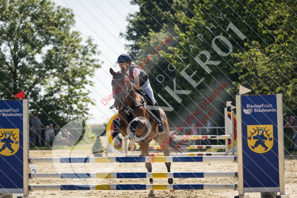 IMG_3092 | Sport-, Event- und Tierfotos in Profiqualität. Einfach auswählen, bestellen und herunterladen. Dein Moment – perfekt festgehalten.