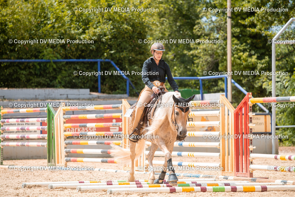 EWP_6529 | dv-media-shop - Realisiert mit Pictrs.com