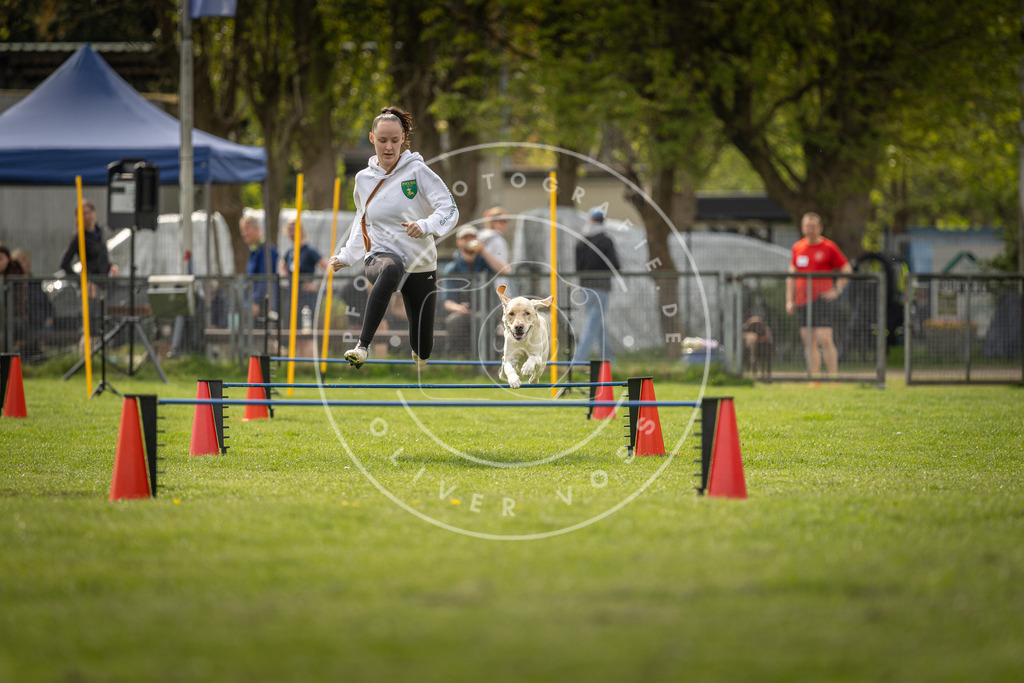 Pfotenfotografie_DV3A5896 | Hundefotografie, Tierfotograf, Pfotenfotografie, Fotoshooting Hund, Hunde Portrait, Hundesport, Hundeportraits, Heideshooting, Hunde, Sportfotograf, Hundefotograf, Turnierhundsport, THS,  - Realisiert mit Pictrs.com