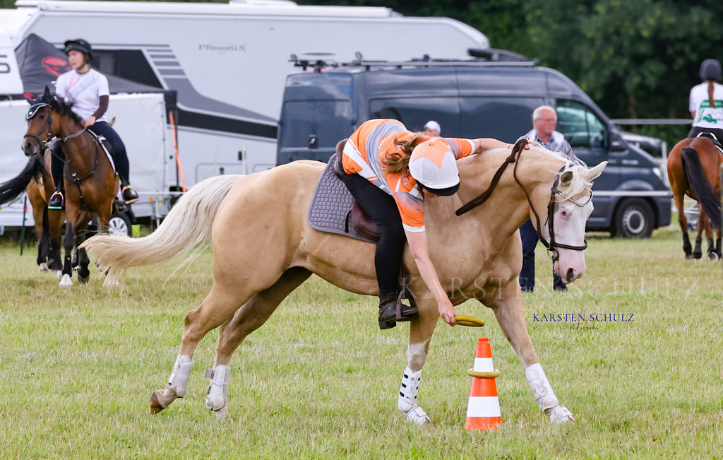 1B3A4480 | Reitsport Reiten