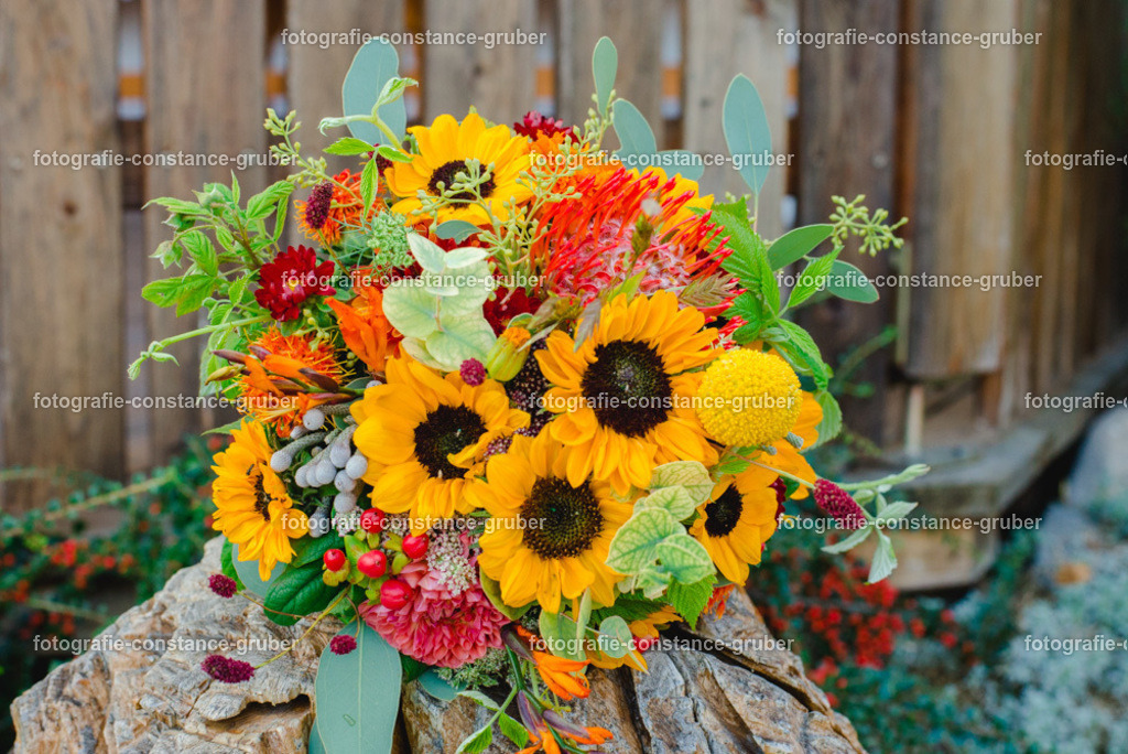 1012 | Fotografie Constance Gruber - Realisiert mit Pictrs.com