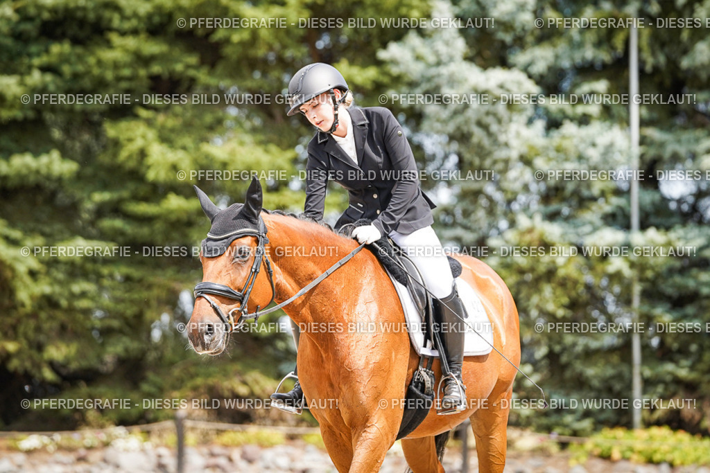 DSC03439 | Pferdegrafie