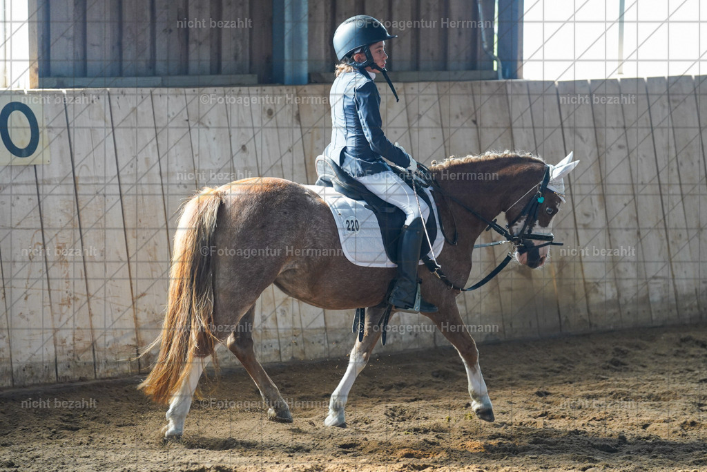 20230916-FAH08606 | Landsberg am Lech 2023, Turnierbildern, Turnierbilder Bayern, Reitsportfotograf, Pferdefotograf Bayern, Turnierfotos Landsberg, Fotoagentur Herrmann, Turnierfotografen Bayern
