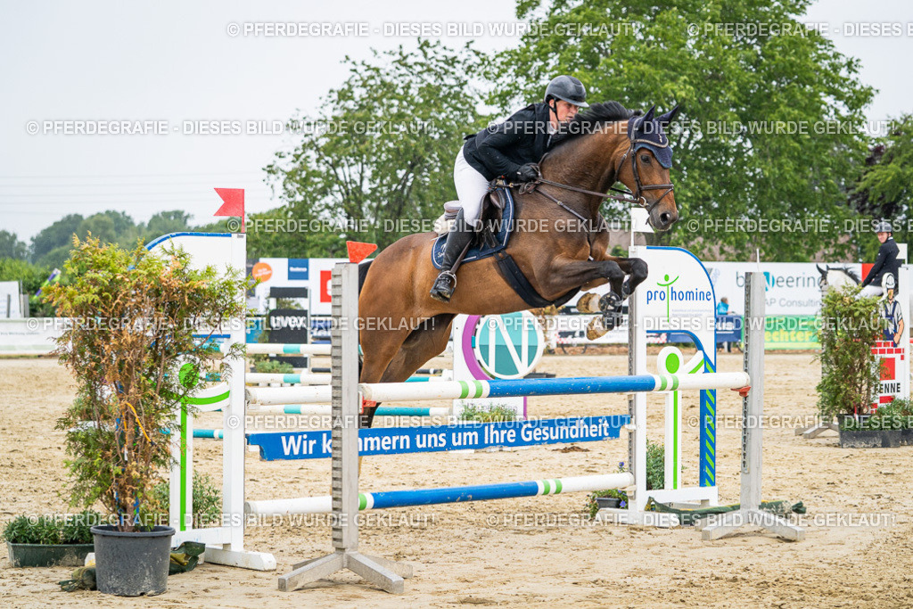 DSC00837 | Pferdegrafie