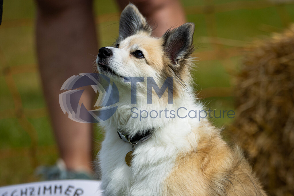 TP-20240815-0146 | Copyright: Trainproduction / Matthias Trinkl