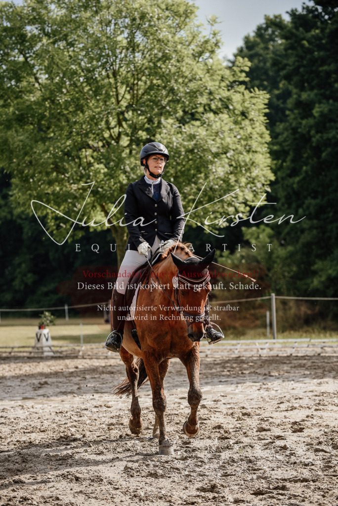 DSC_8911 | Pferde- und Turnierfotografie in Westsachsen. Pferdeportraits, Auftragszeichnungen und intuitive Kunst.