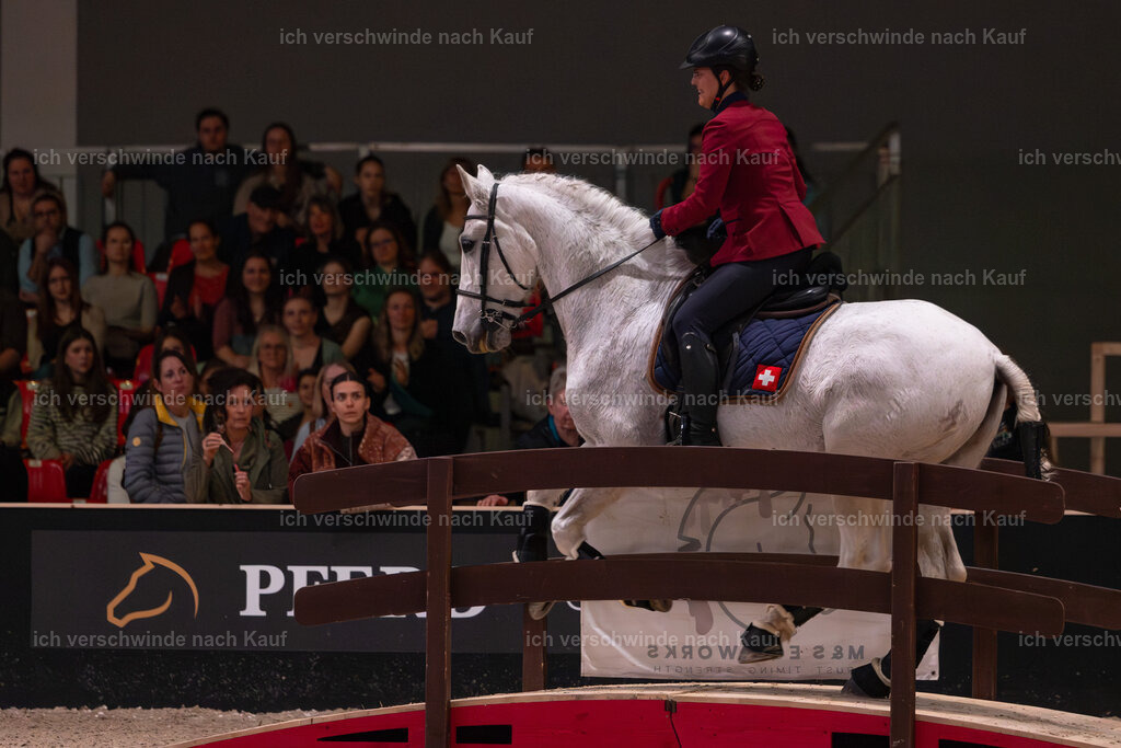 JoseraCup-197 | working equitationturnier fotograf videograf stoibphotography marixx film working equitation deutschland reitsport turnierfotografie eventfotografie equestrian events