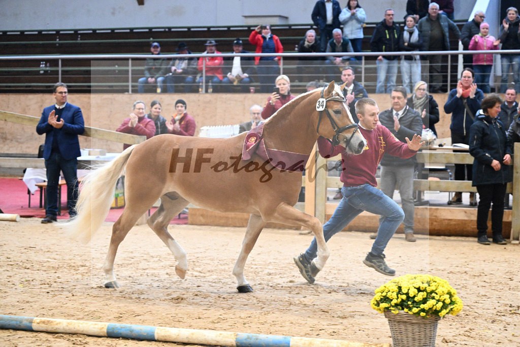 Kat-Nr. 34 nn v. Starino I_Grimminger_48251821 | hf-fotografie - Realisiert mit Pictrs.com