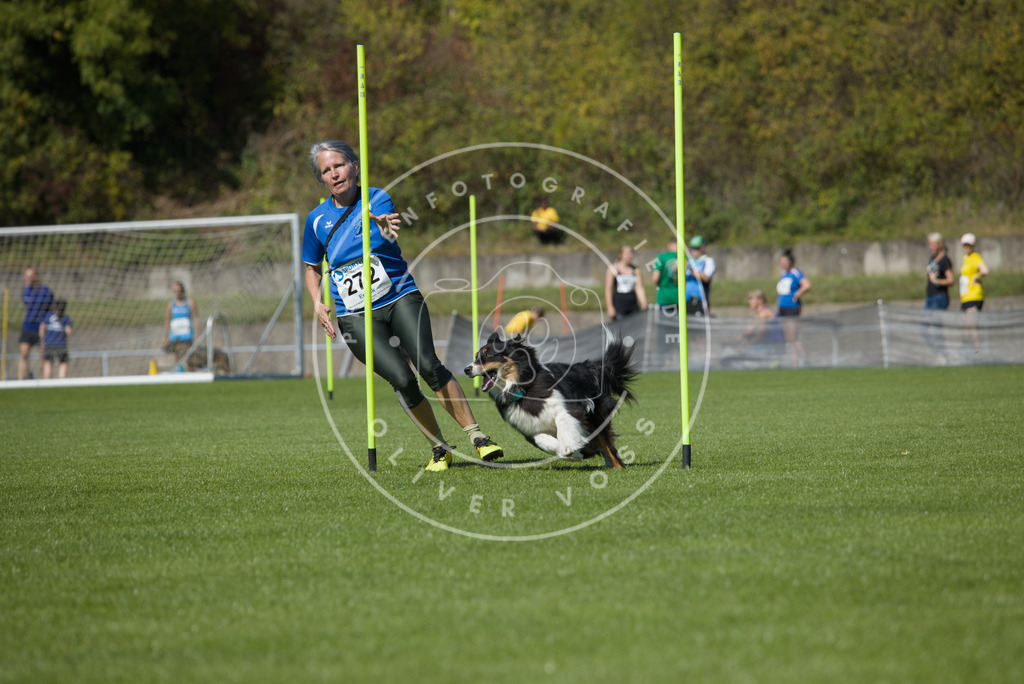 0L8A6695 | Hundefotografie, Tierfotograf, Pfotenfotografie, Fotoshooting Hund, Hunde Portrait, Hundesport, Hundeportraits, Heideshooting, Hunde, Sportfotograf, Hundefotograf, Turnierhundsport, THS,  - Realisiert mit Pictrs.com