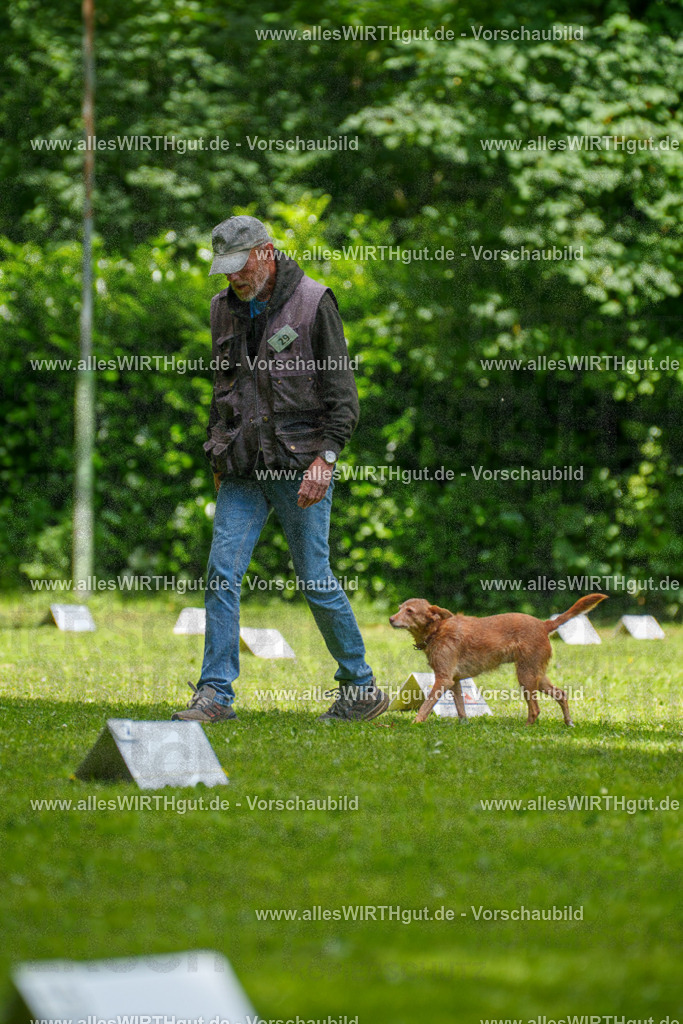@allesWIRTHgut_Tierfotografie - www.allesWIRTHgut.de - 7R504166 | Professionelle Tierfotografie in Mönchengladbach von Daniel Wirth (allesWIRTHgut). Liebevolle & natürliche Bilder von Hunden & Katzen für unvergessliche Erinnerungen.