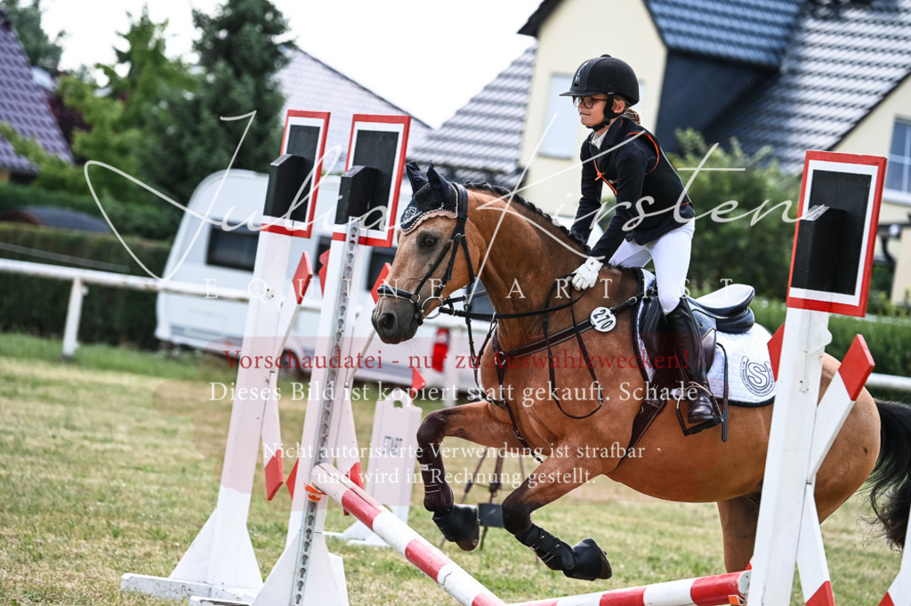 DSC_9705 | Pferde- und Turnierfotografie in Westsachsen. Pferdeportraits, Auftragszeichnungen und intuitive Kunst.