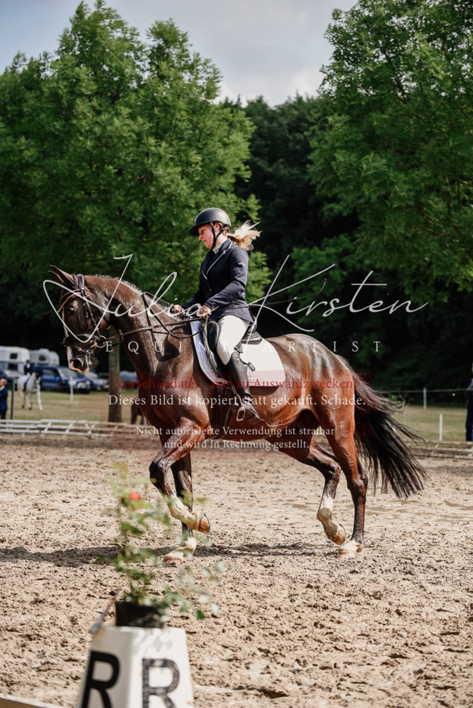 DSC_0080 | Pferde- und Turnierfotografie in Westsachsen. Pferdeportraits, Auftragszeichnungen und intuitive Kunst.