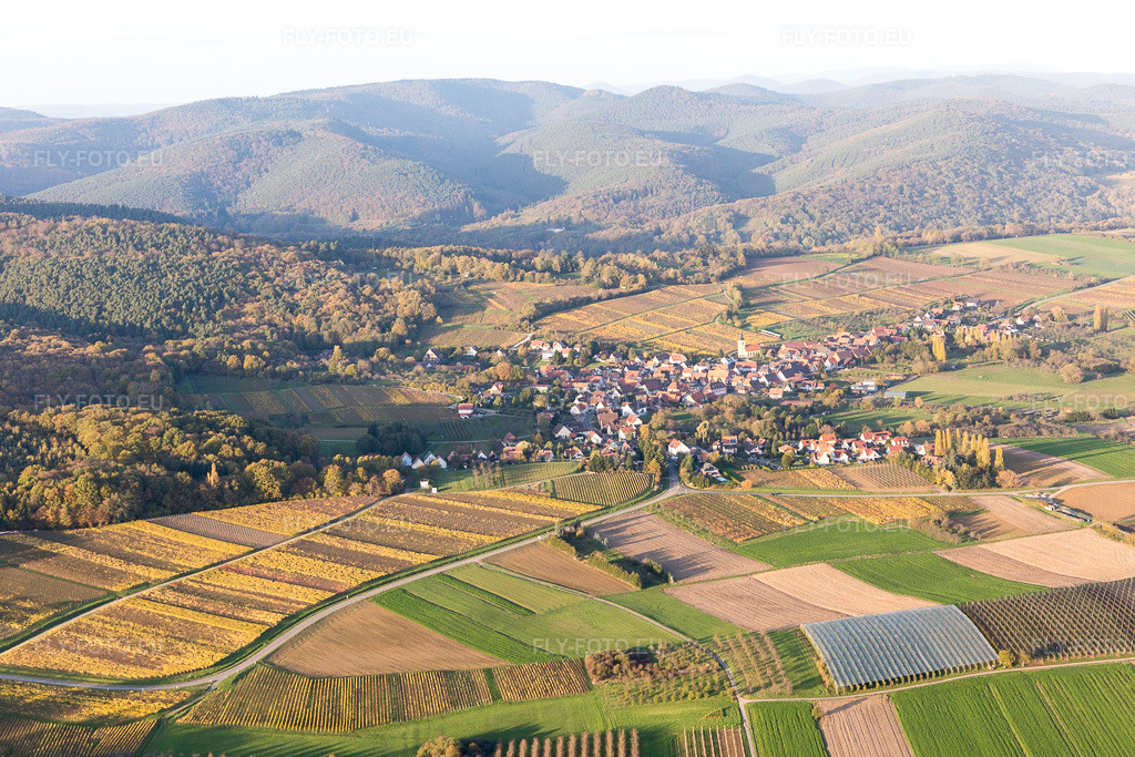 Vue aérienne: Vue de la ville à Cleebourg dans le département Bas Rhin, France. Photo: IMG_104412.jpg prise le 31/10/2017 par Werner Riehm/FLY-FOTO.eu – Résolution de l'original: 5472 x 3648 px