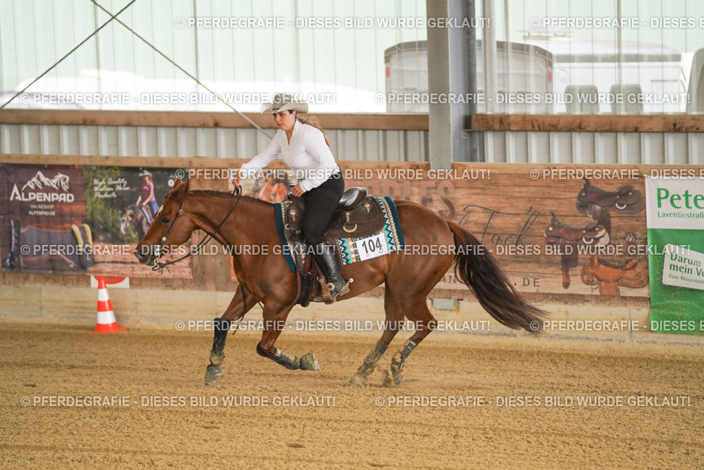 DSC00343 | Pferdegrafie