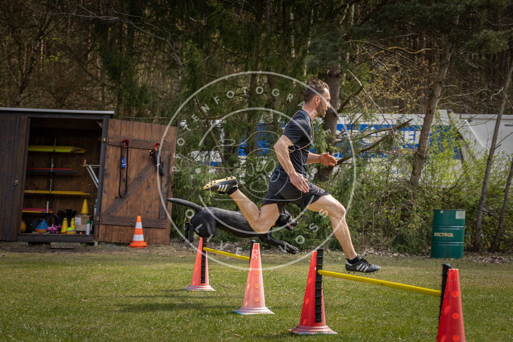 Pfotenfotografie_DV3A3459 | Hundefotografie, Tierfotograf, Pfotenfotografie, Fotoshooting Hund, Hunde Portrait, Hundesport, Hundeportraits, Heideshooting, Hunde, Sportfotograf, Hundefotograf, Turnierhundsport, THS,  - Realisiert mit Pictrs.com