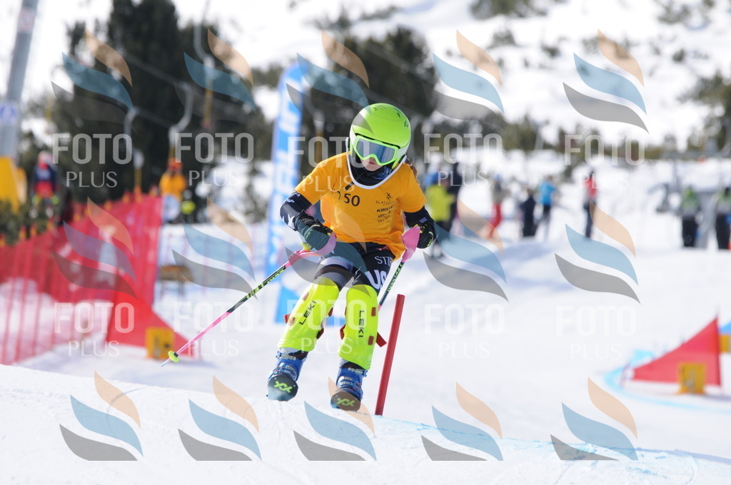 C7292 | holidayphoto