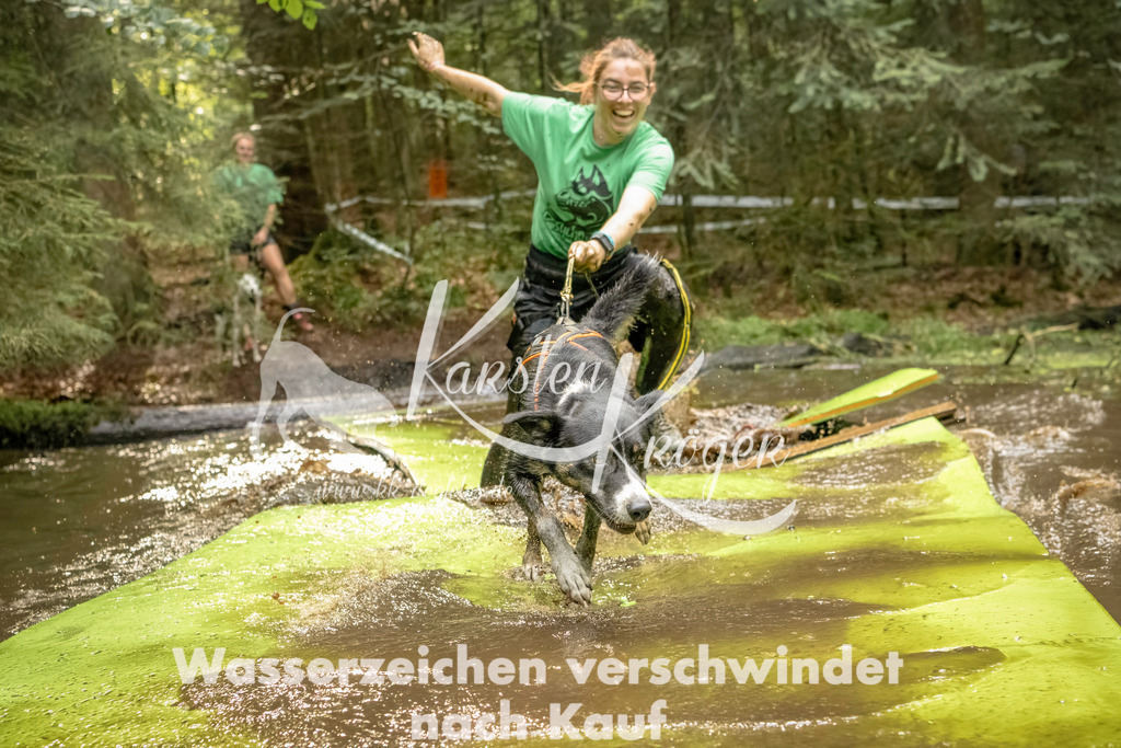 1411_ZZ91374-Bearbeitet | kk-dogfotos
