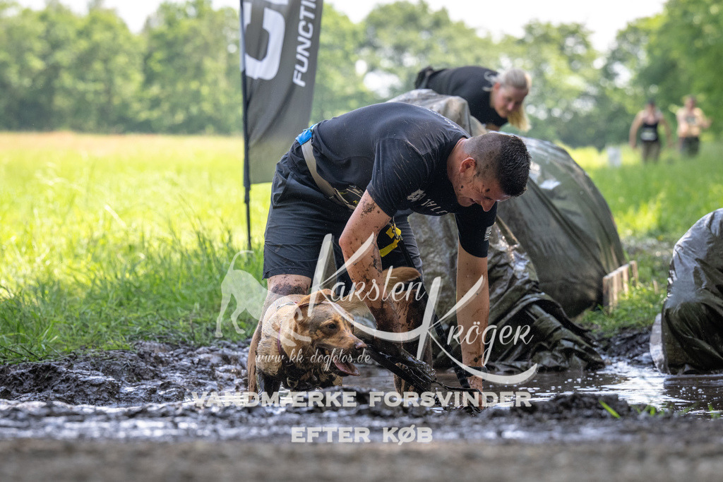 1155_ZZ90234 | kk-dogfotos