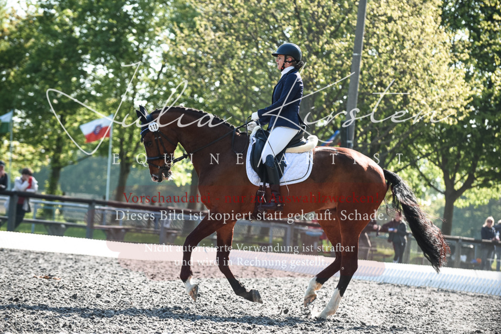 DSC_8552 | Pferde- und Turnierfotografie in Westsachsen. Pferdeportraits, Auftragszeichnungen und intuitive Kunst.