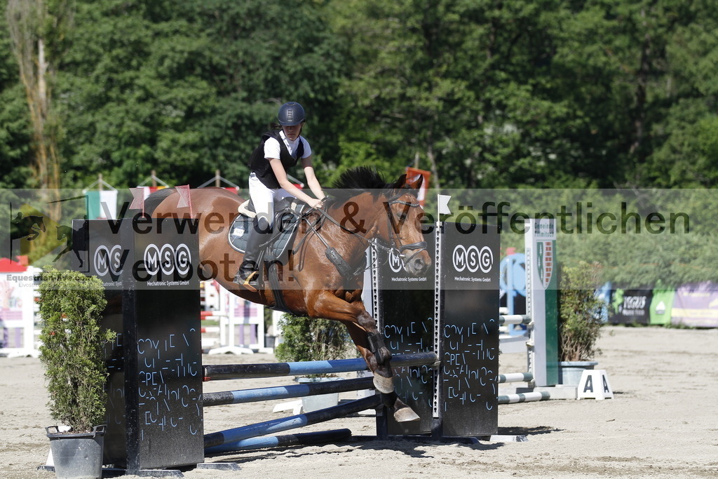 _MG_2501 | equestrian-live-com