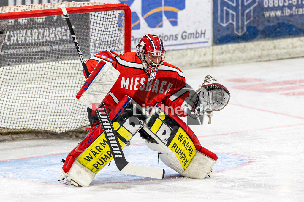 C1DX0907 | Shop für Sportfotografie, Bilddatenbank, Pressefotografie, Fußball, Eishockey, Aktionsfotos