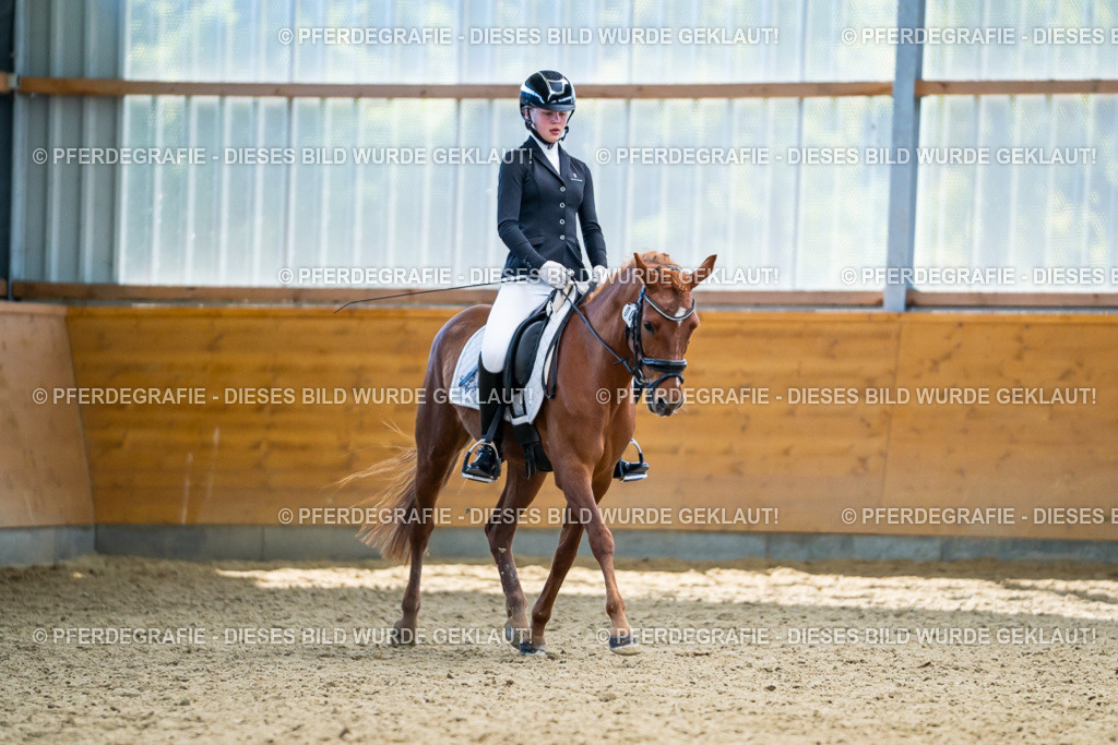 DSC05235 | Pferdegrafie